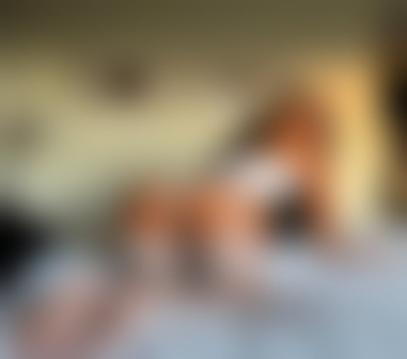 Photos for ✅100% REAL 🔥 BEST PARTY 🥂INCALL🔥Outcall✅
