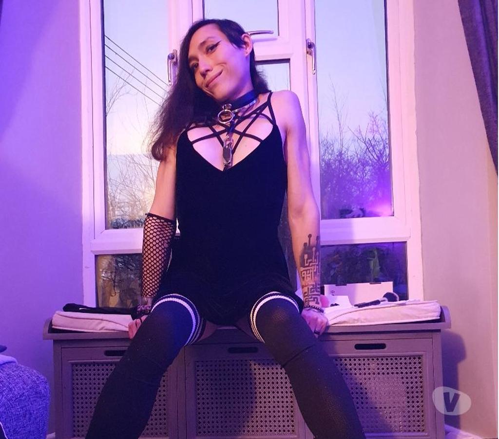 Trans Escorts Devon East Devon - Photos for Trans Goth Girl looking to make your dreams come true