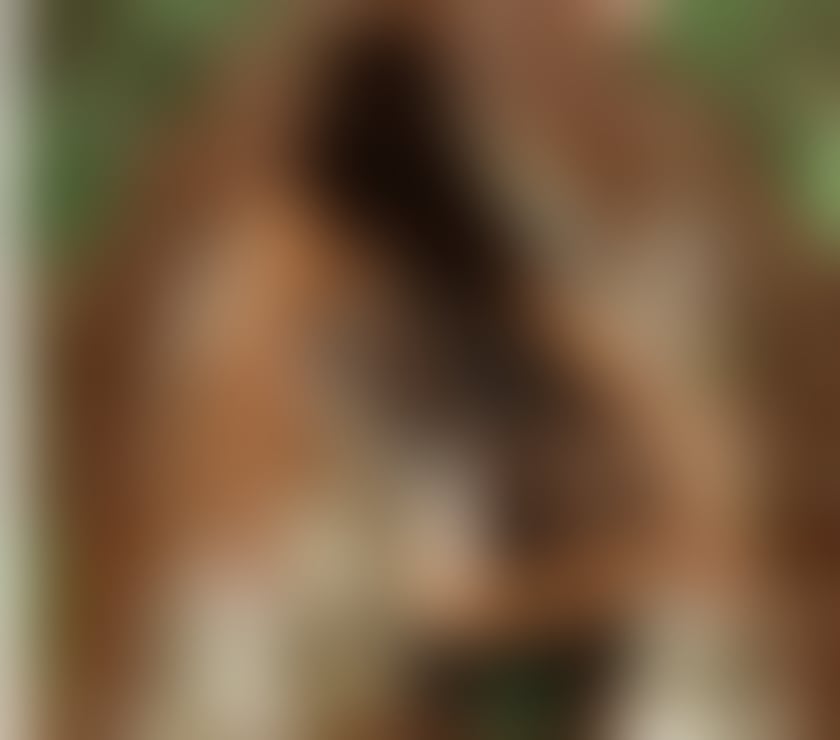 Escorts Worcestershire Wyre Forest - Photos for Beautiful Black Escort And Masseuse In Kidderminster
