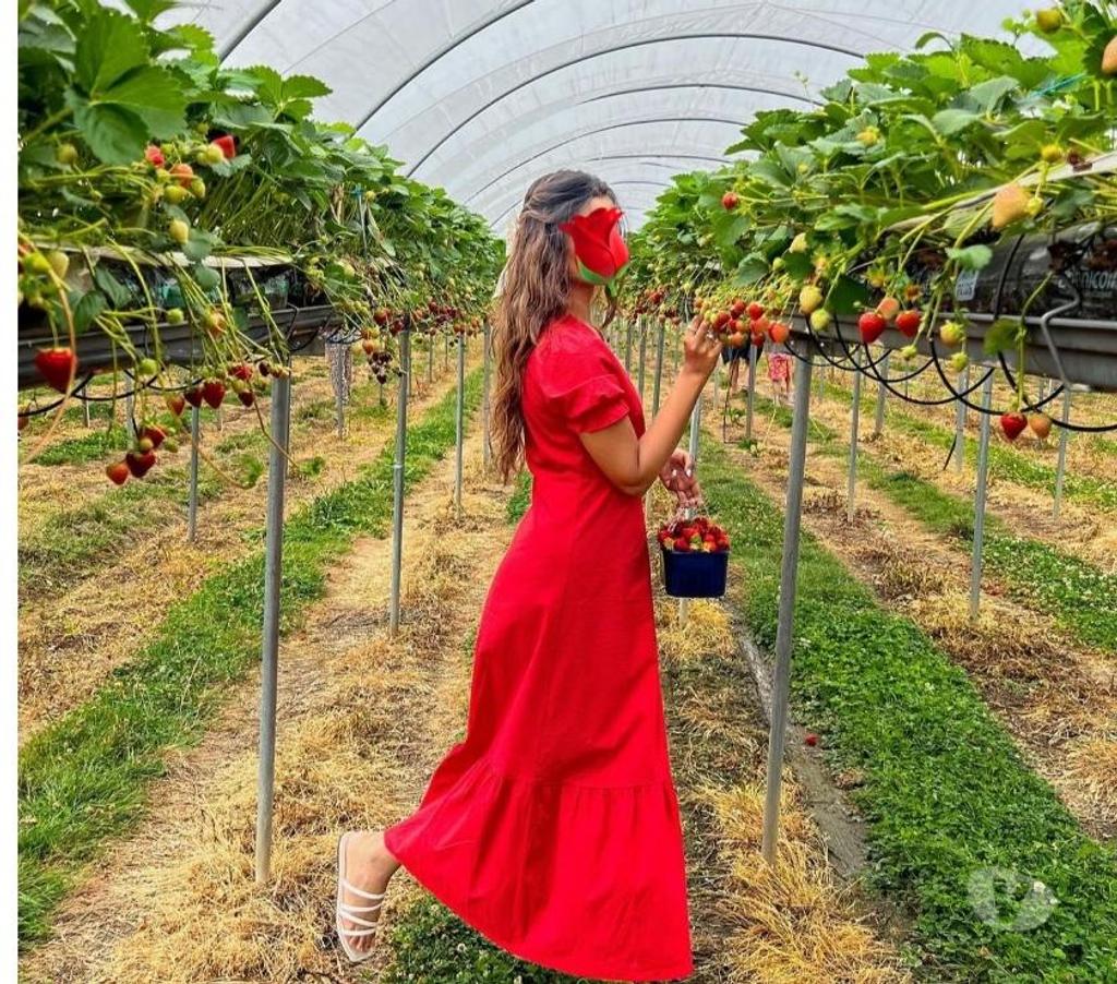 Escorts South East London Bromley - Photos for Indian bangladeshi escort and b2b massage