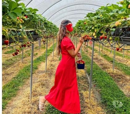 Escort Bromley Town Centre Bromley - Photos for Indian bangladeshi escort and b2b massage