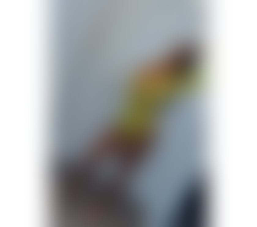 Escorts Leicester Blaby - Photos for ❤️INDIAN AND BRITISH STUNNER ❤️