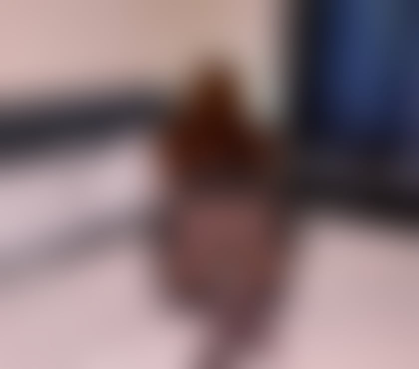 Escorts and Massages Inverness Highland - Photos for Sweet love party girl