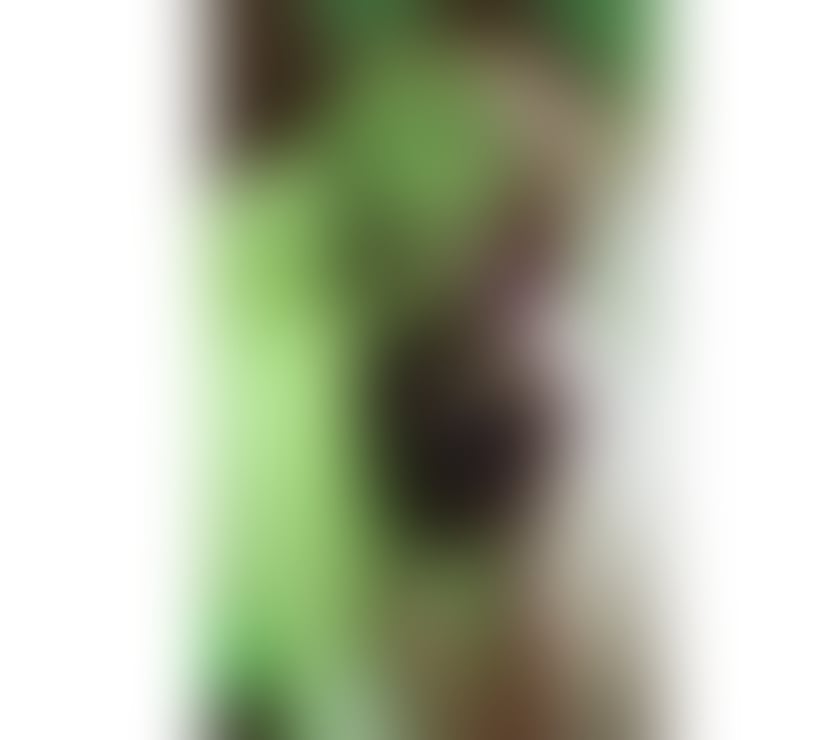 Escorts Edinburgh Edinburgh - Edinburgh - Photos for 💯REAL!!! Arianna💥Best BJ ,no rush !!!🫦🫦🫦