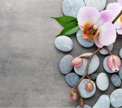 Massage Dentons Green Saint Helens - Photos for Healing and Relaxing Thai Massage