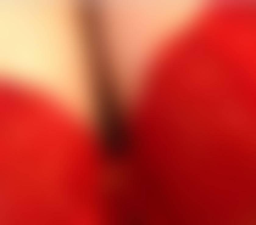 Escorts Lancashire Blackburn with Darwen - Photos for Miss_BritishELLIE_Uk