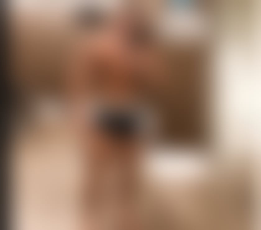  Gay massage Staffordshire Technology Park Stafford - Photos for Bodybuilder 25, meets and more