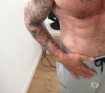 Curious male wirral based