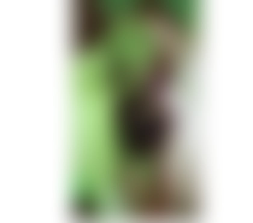 Escorts Edinburgh Craigentinny - Edinburgh - Photos for Best BJ 💯No rush🫦🫦🫦