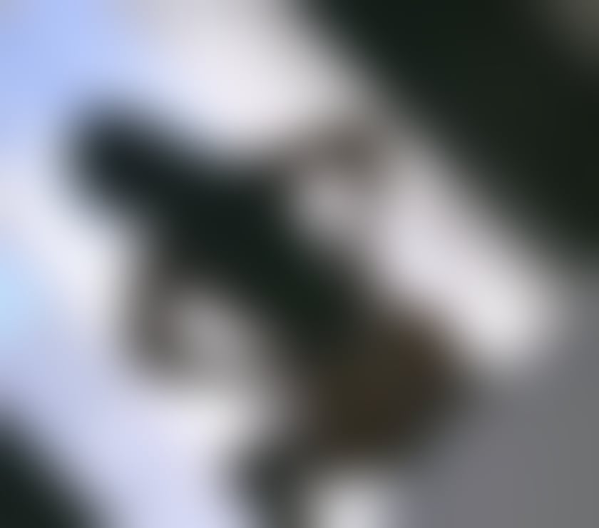 Escorts Cardiff Roath - Cardiff - Photos for Leyla new girl to town party girls 24 hour