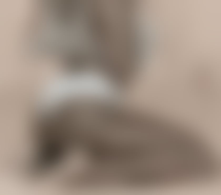 Escorts Greater Manchester Bury - Photos for Hi I'm new Party girl