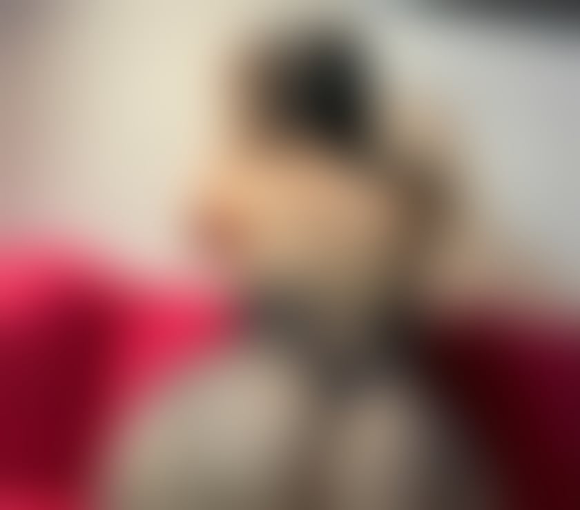 Escorts and Massages Northampton West Northamptonshire - Photos for Celine new in town 🥰 outcalls only