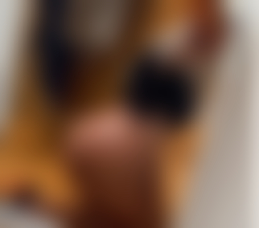 Escorts Swansea City Centre Swansea - Wales - Photos for 🔞🆘Lux Escort Just Outcall 🔞🆘
