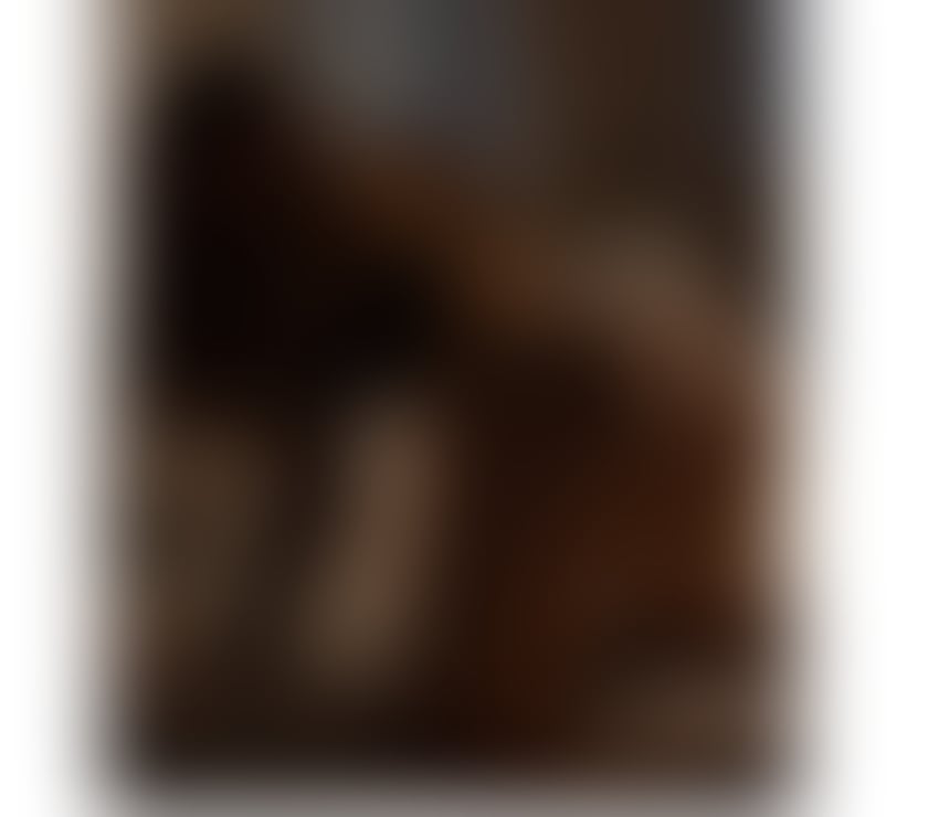 Escort Paddington West London - Photos for Sensual B2B massage in Paddington