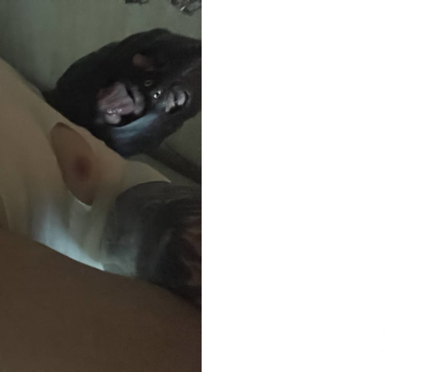 Gay Dating East London Plaistow - East London - Photos for BOTTOM SUB 4 USE BY BLACK & ASIAN MASTERS ONLY