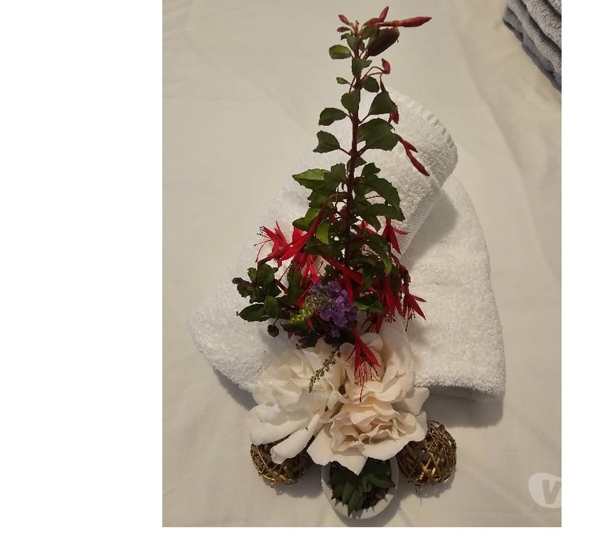 Escorts Highland Inverness - Highland - Photos for Best Full body Relaxing Massage At inverness