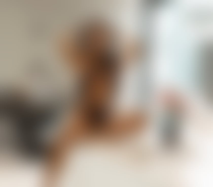 Escorts North Northamptonshire Kettering - North Northamptonshire - Photos for SONYA❤️BEST SERVICE❤️PARTY GIRL❤️OWO❤️