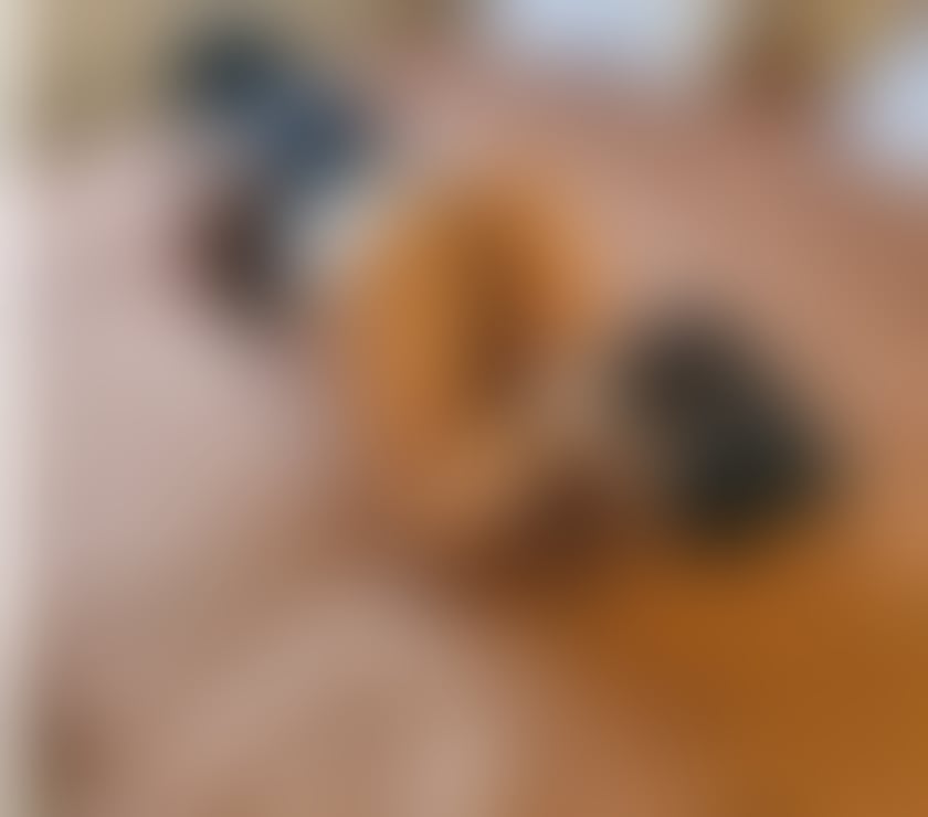 Escort Arthurs Hill Newcastle upon Tyne - Photos for Sexy ella 😍 now in town