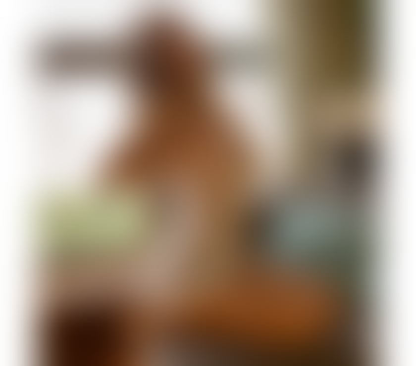 Escorts Aberdeen Aberdeen City Centre - Aberdeen - Photos for ✅SEXY EXPLOSIVE 🔥BEST GFE NEW IN TOWN ❤️‍🔥