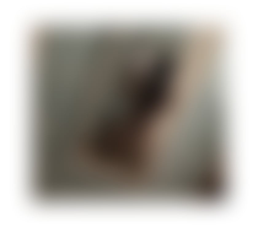 Escorts Edinburgh Edinburgh - Edinburgh - Photos for Nelsy👄😜New in Town Sexy Girl 😜👄