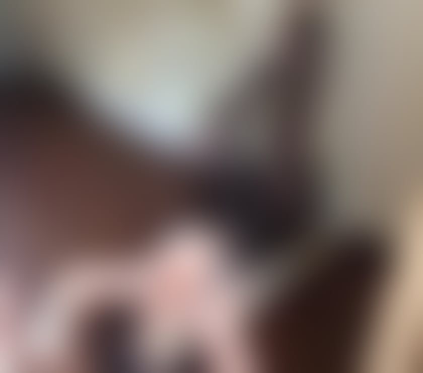 Escorts Oxfordshire Oxford - Photos for Busty mature mixed race MILF in Oxford OX2 Botley