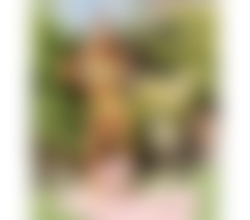 Escorts Auchenbowie Stirling - Photos for Nina Spanish at North Stirling