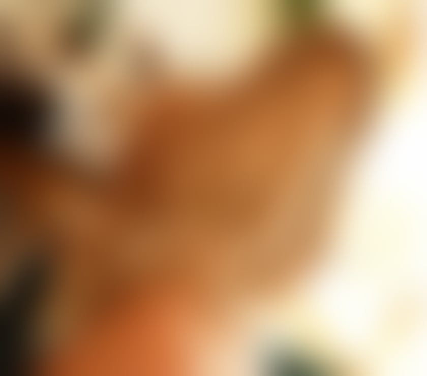 Escorts Hampshire Southampton - Photos for Best Brazilian Naughty. ✨✨