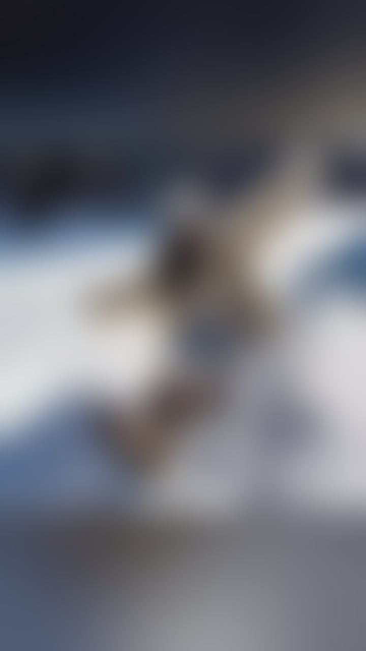 Escorts Devon Torbay - 