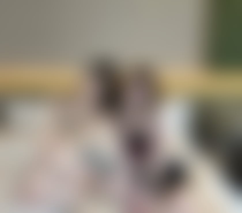 Escorts West Midlands Birmingham - Photos for 24HRS❤️‍🔥New Japan Girl Full Service New Arrived
