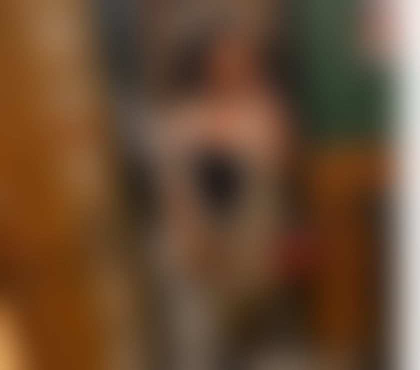 Trans Escorts Buckinghamshire High Wycombe - Buckinghamshire - Photos for Laysa Brazilian 🇧🇷 🍑 High Wycombe