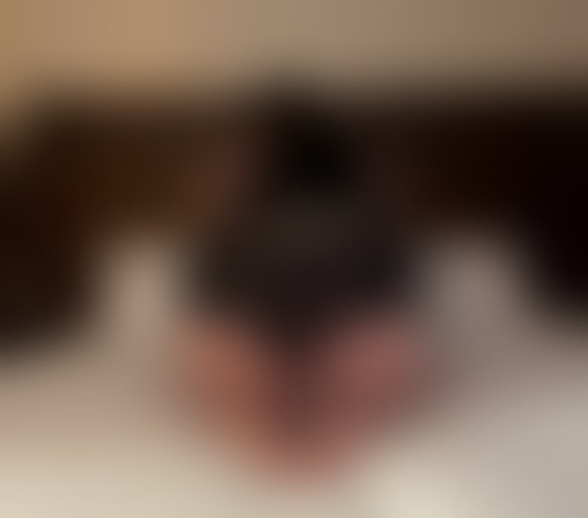 Escorts Greater Manchester Bolton - Photos for Ultimate GFE. Experienced, curvy and 100% English 💋