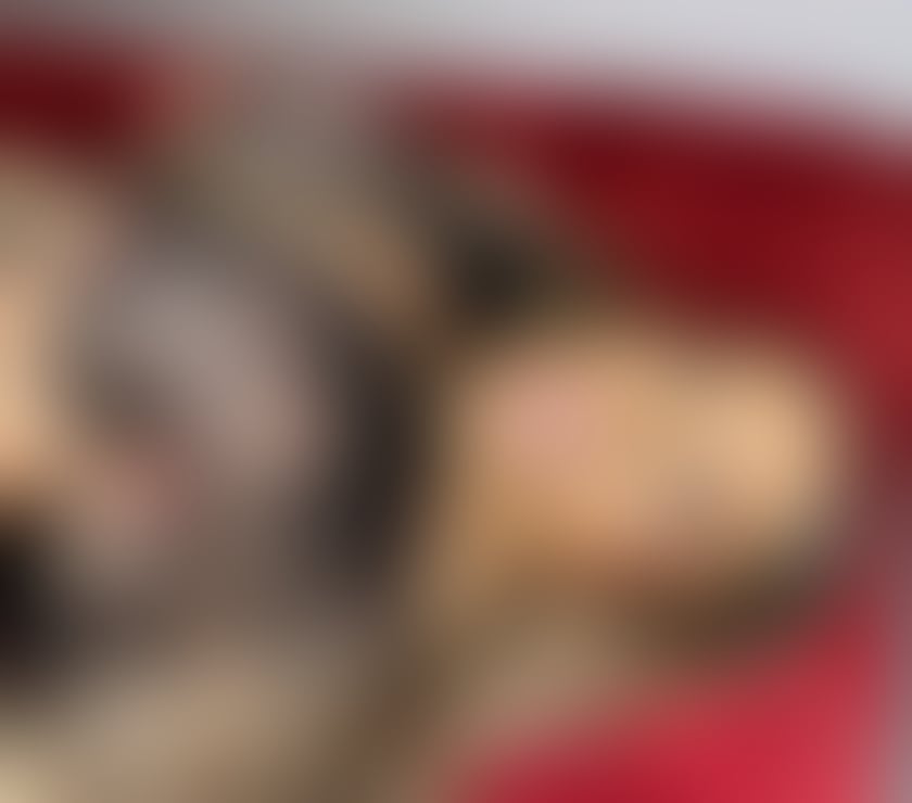 Escorts Bedfordshire Luton - Photos for 🔥 HOT ESCORT PAMELA VALENCIANA🔥