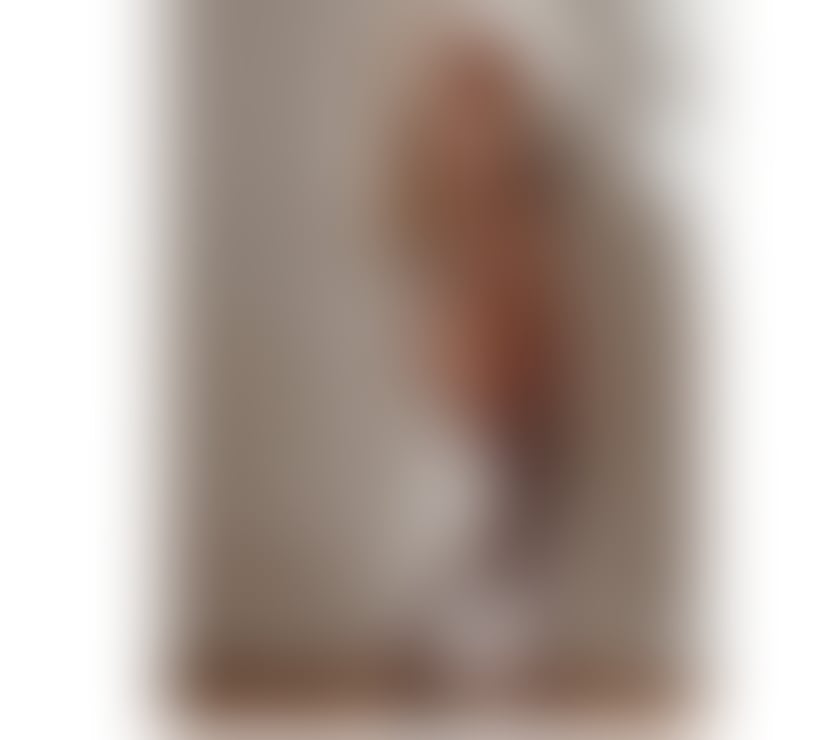 Escorts Devon Exeter - Photos for ❤️Bella❤️ party girl 💋