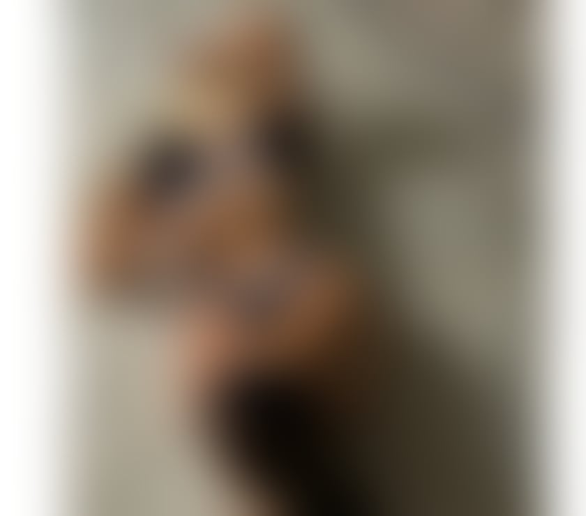 Escorts Devon Exeter - Photos for ❤️Sofia 🌷 Incall and outcall💋