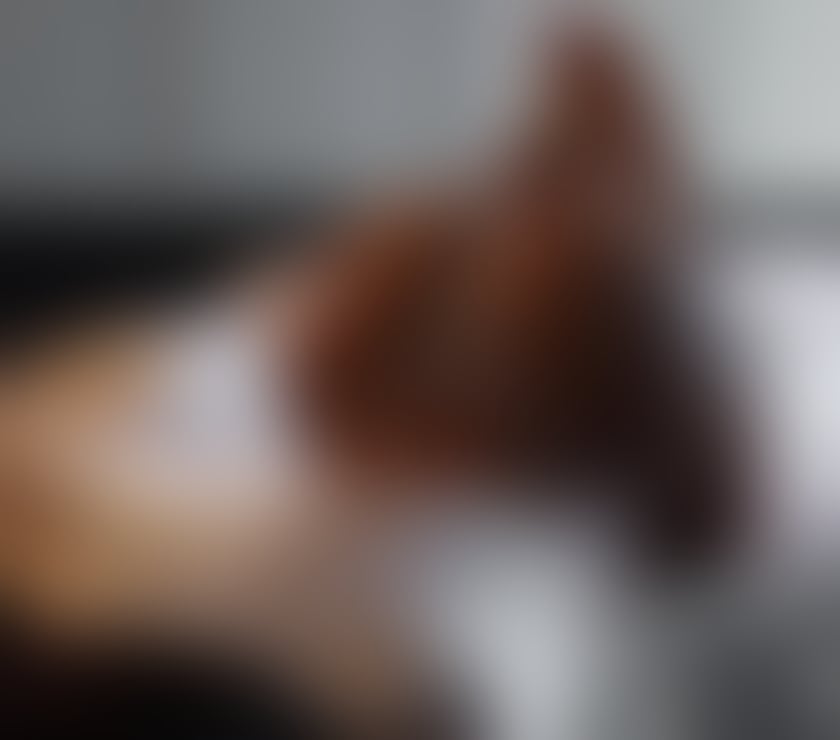 Escorts Dorney Reach Buckinghamshire - Photos for Best service 💯OUTCALL ❣️GIRLS ❤️