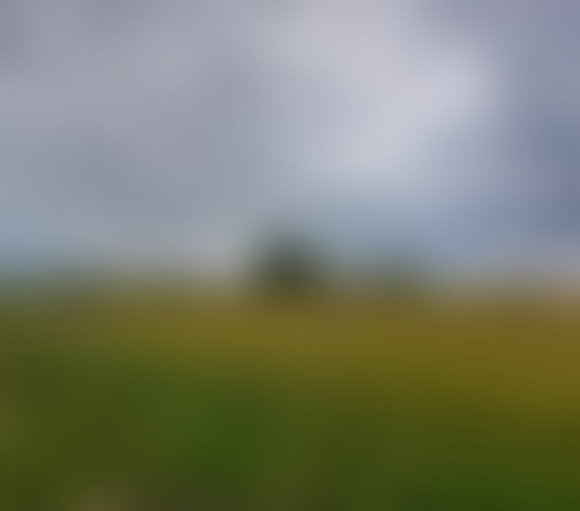 Escorts Norfolk North Norfolk - Photos for 50 year old male offering Erotic massage for ladies