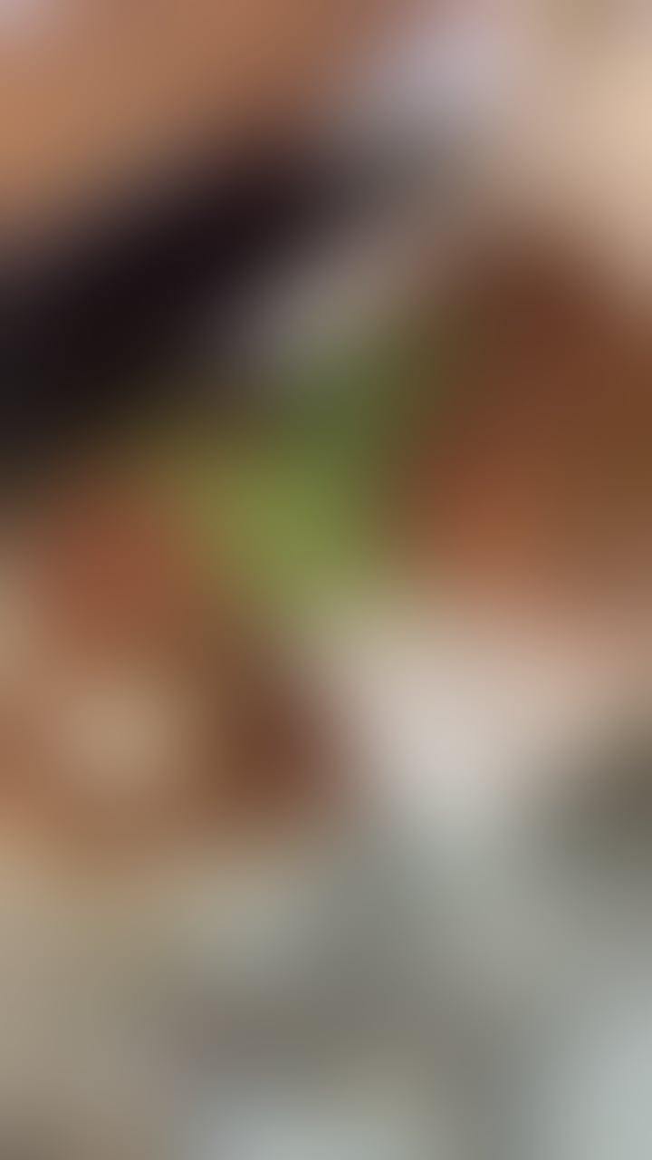 Trans Escorts West Midlands Birmingham - 