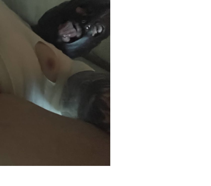 Gay Dating Plaistow East London - Photos for DIRTY WHITE SUB NEEDS USING HRD BY HARD BLACK ASIAN MASTERS