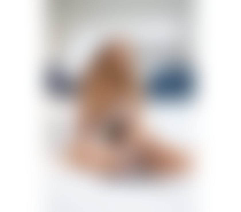  Escorts West End, Stockbridge and Fountainbridge Edinburgh - Photos for 100% CLASSY CAROLINNE - THE PERFECT TOUCH - MASSAGE THERAPY