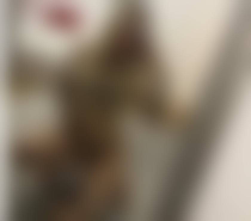 Escorts West Yorkshire Leeds - Photos for INCALL & OUTCALL lParty & toys & GFE & PIC REAL 24h