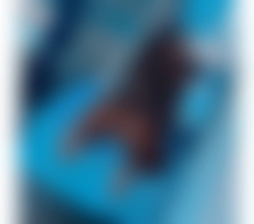 Escorts Merseyside Liverpool - Photos for 🇧🇷BÁRBARA BIG ASS🇧🇷PARTYGIRL🍾🥂NEW IN TOWN