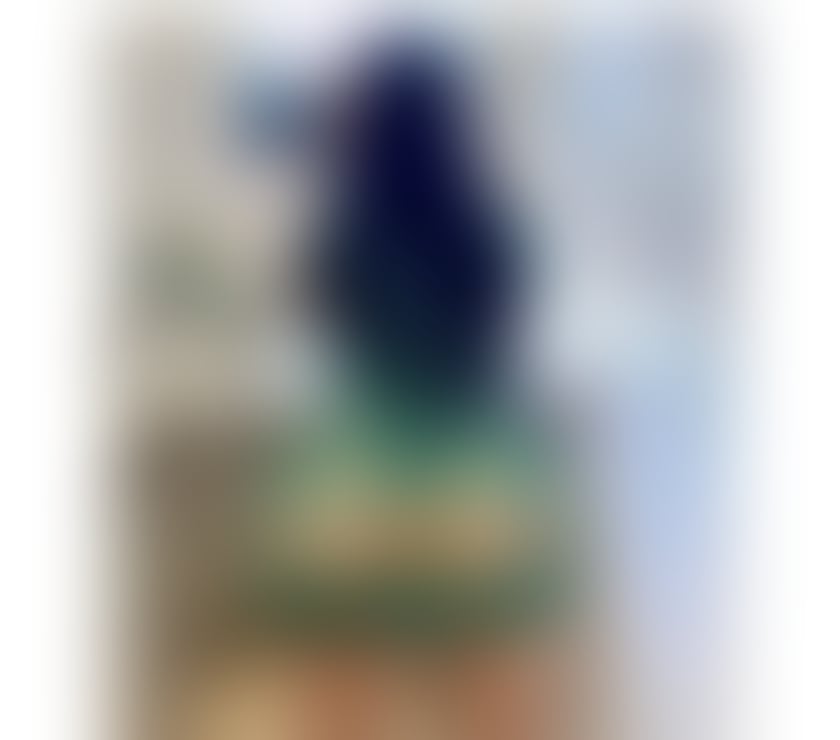 Escorts Glasgow Glasgow City Centre - Glasgow - Photos for EXOTIC SEXY MASSAGE WITH MUCH MORE..