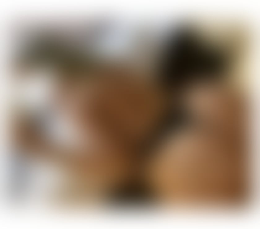 Escorts North Northamptonshire Corby - North Northamptonshire - Photos for 🔥 🚫Maya🔥‼️3 DAYS HERE‼️💯