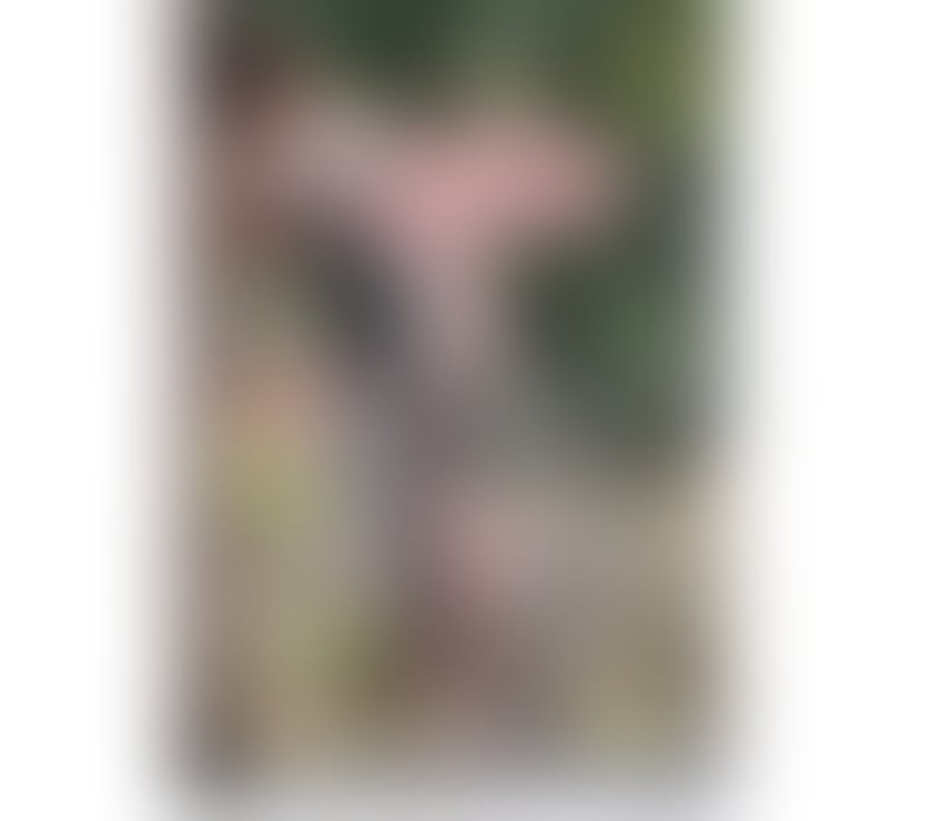 Escorts York City Centre York - Photos for Angel girl new in town no Rush