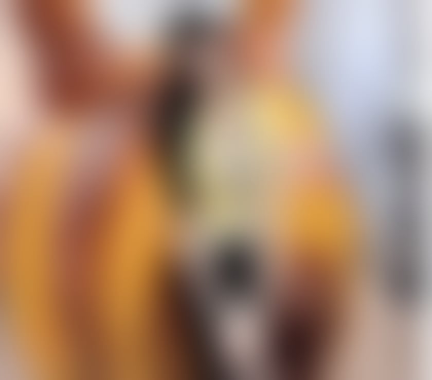 Escorts York City Centre York - Photos for Angel girl new in town no Rush