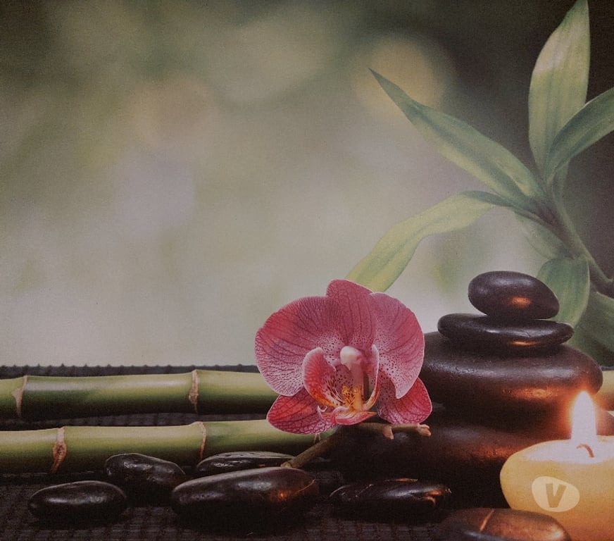 Escorts Buckinghamshire Chalfont Saint Peter - Buckinghamshire - Photos for Chinese Massage - New Shop Just Opened