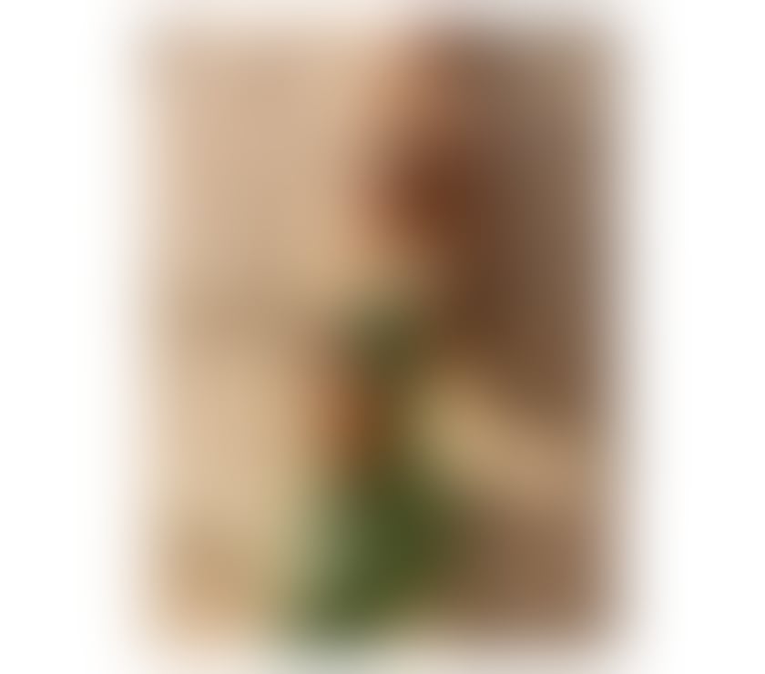 Escorts Leeds City Centre Leeds - Photos for Bonnie - great masseuse 100% real pictures