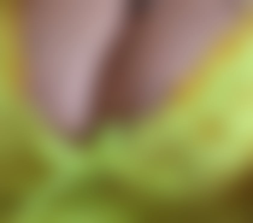 Escorts Greater Manchester Manchester - Photos for little Miss big boob's