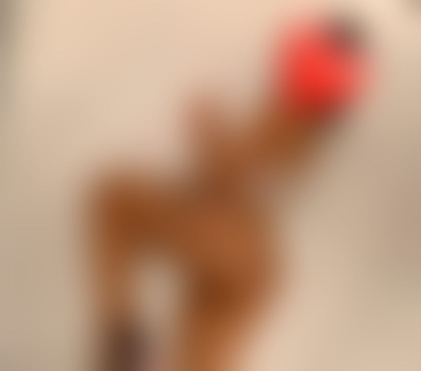 Escorts West London Hillingdon - Photos for hot girl xx call me 🥰🥰🥰🥰