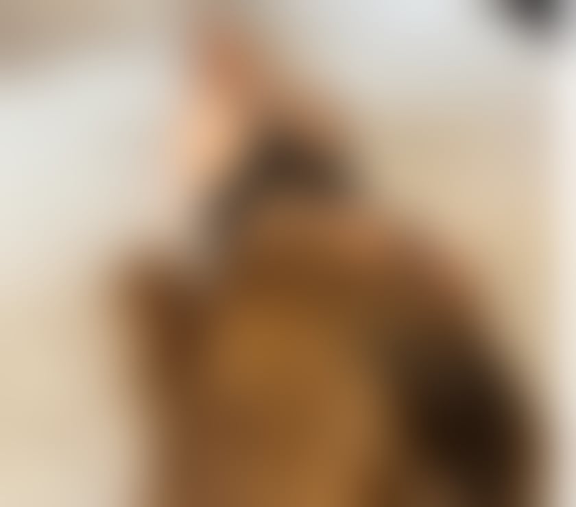 Escorts Essex Brentwood - Photos for hot girl xx call me x xxxx